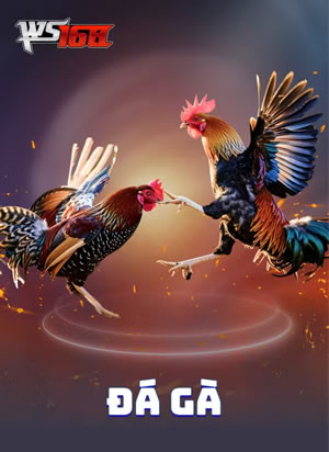 Jackpot Lớn